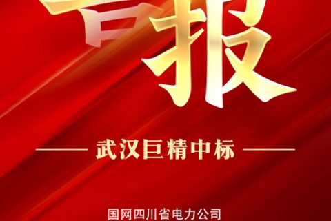 热烈祝贺pg电子中标国网四川省电力公司2022年第三次物资招标采购项目