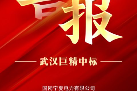 热烈祝贺pg电子中标国网宁夏电力有限公司2022年新增非电网零星物资框架协议竞争性谈判采购